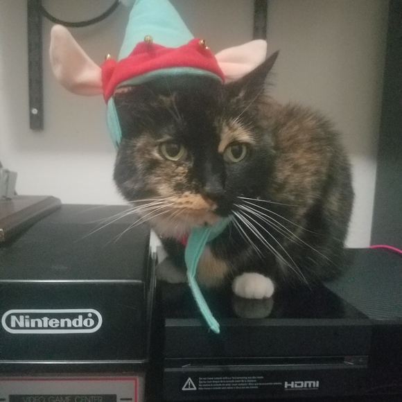 READ Before You Offer Or Buy - Picture 9 of 15